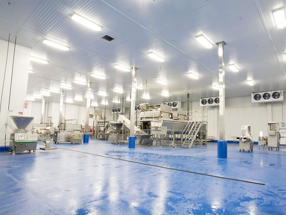 潔凈車間頂部照明：選對燈具，守護微塵禁區(qū)